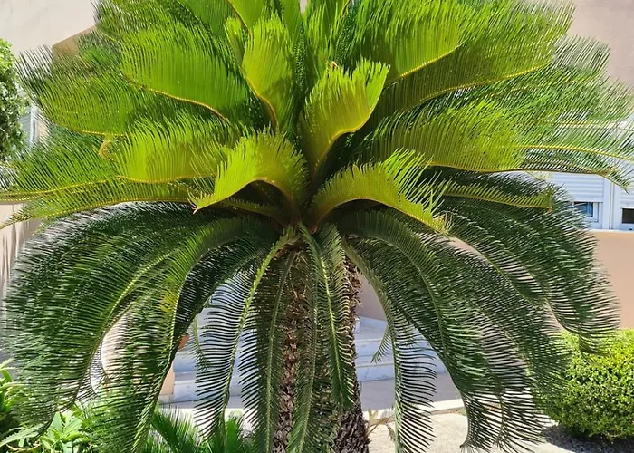 Lambou Sunset 펜션