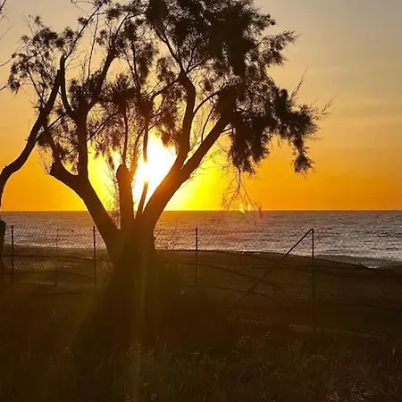 Lambou Sunset