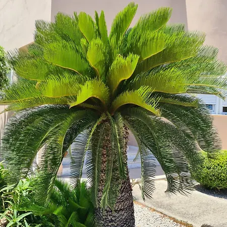 Lambou Sunset Σπίτι διακοπών